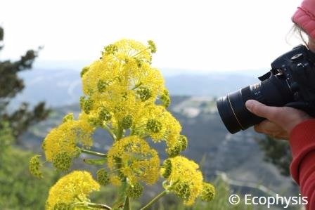 takingphotos at lefkara area_ecophysis excursion